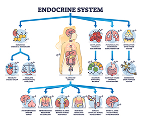 EnhowrinjDiporhjrp - NCLEX-RN